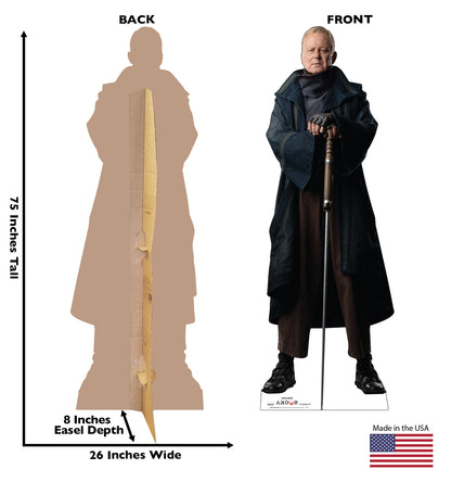 Life-size Cardboard Cutout of Luthen Rael - All Cutouts