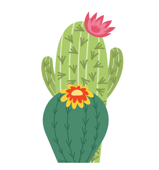 Life-size Cactus Group 40 Inch Cardboard Cutout - All Cutouts