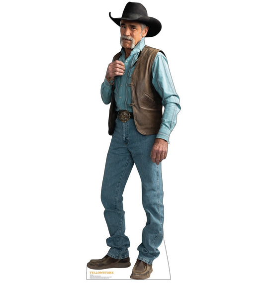 Life-size Cardboard Cutout of Lloyd - All Cutouts