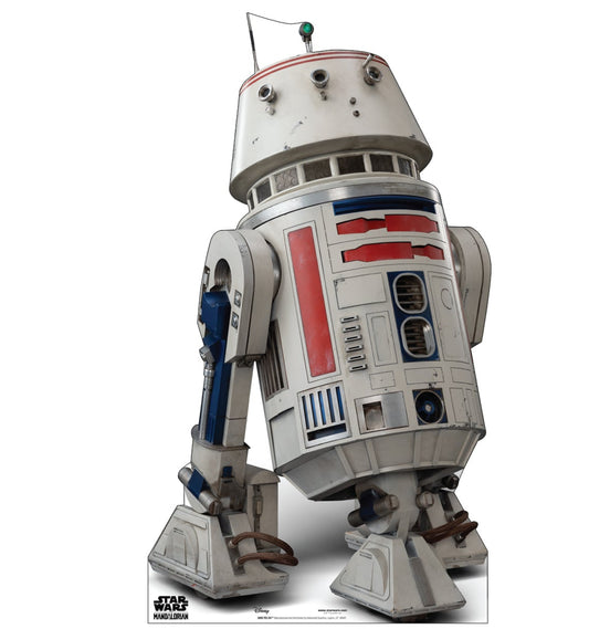 Life-size Cardboard Cutout of R5-D4 - All Cutouts