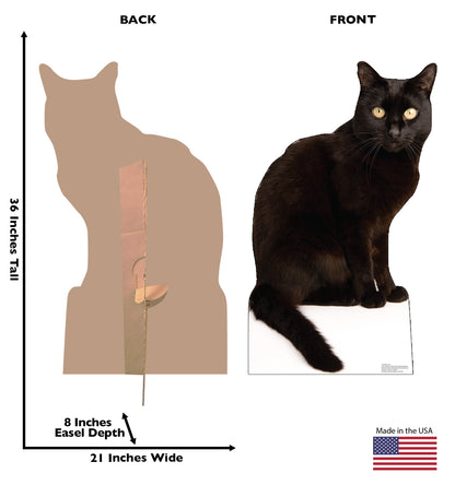 Black Cat Life-Size Cardboard Cutout - All Cutouts