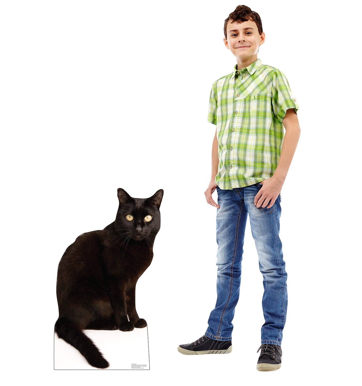 Black Cat Life-Size Cardboard Cutout - All Cutouts