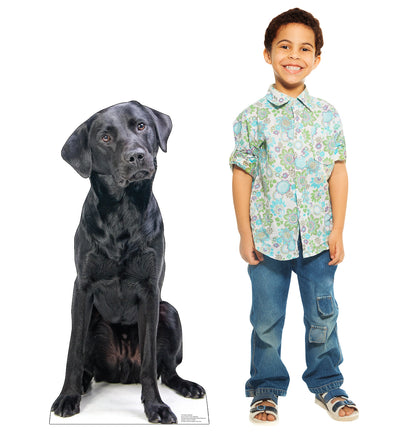 Black Labrador Life-Size Cardboard Cutout - All Cutouts