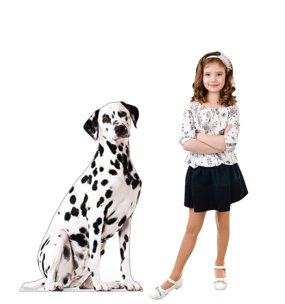 Dalmatian Dog Life-Size Cardboard Cutout - All Cutouts