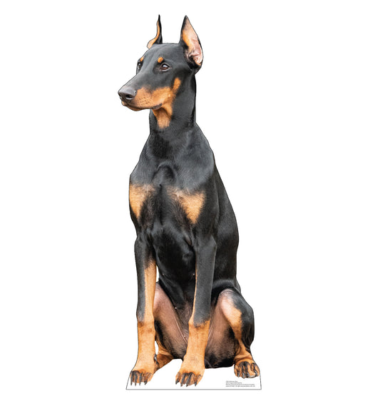 Doberman Dog Life-Size Cardboard Cutout - All Cutouts