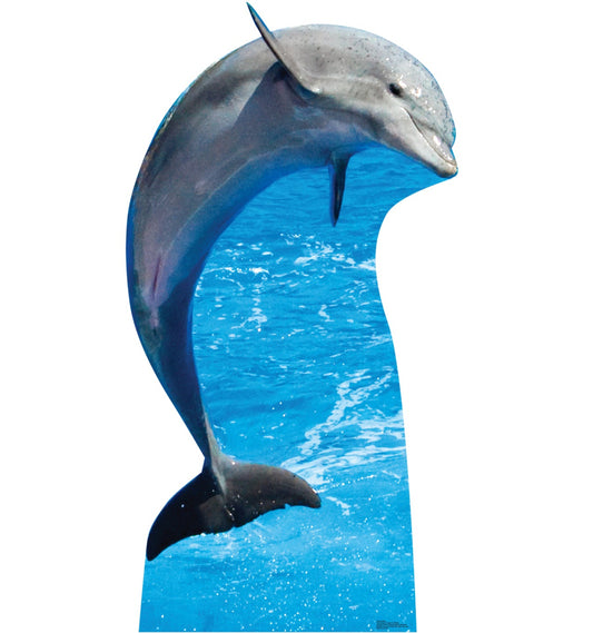 Dolphin Life-Size Cardboard Cutout - All Cutouts