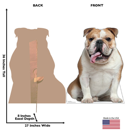 English Bull Dog Life-Size Cardboard Cutout - All Cutouts