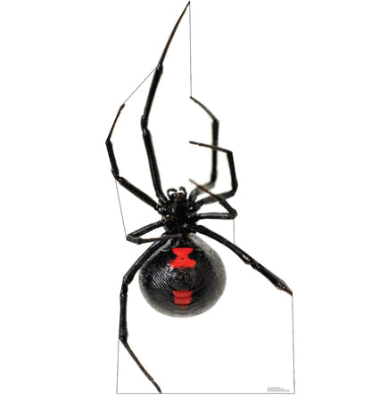 Giant Black Widow Spider Life-Size Cardboard Cutout - All Cutouts