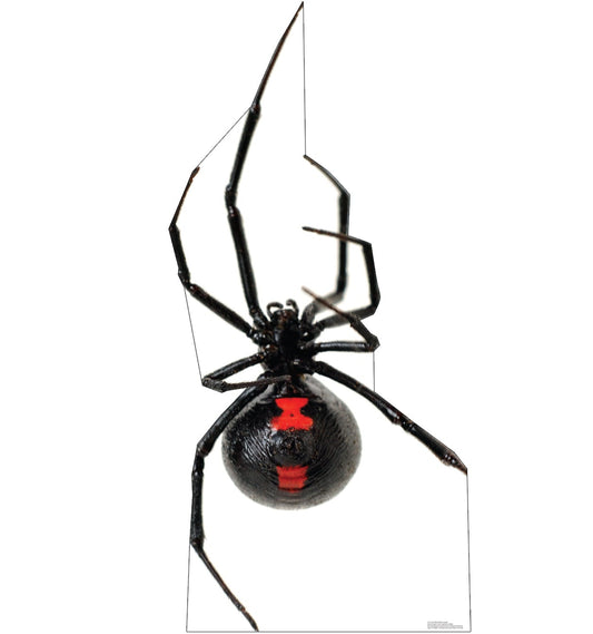 Giant Black Widow Spider Life-Size Cardboard Cutout - All Cutouts