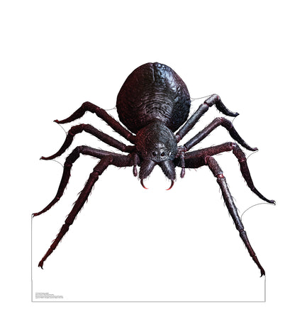 Giant Fantasy Spider Life-Size Cardboard Cutout - All Cutouts