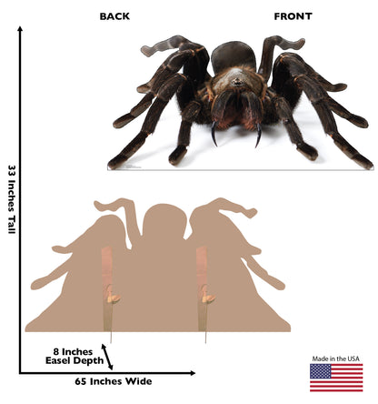 Giant Tarantula Life-Size Cardboard Cutout - All Cutouts