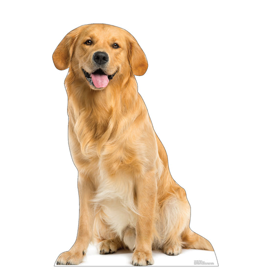 Golden Retriever Life-Size Cardboard Cutout - All Cutouts