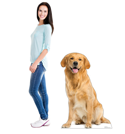 Golden Retriever Life-Size Cardboard Cutout - All Cutouts