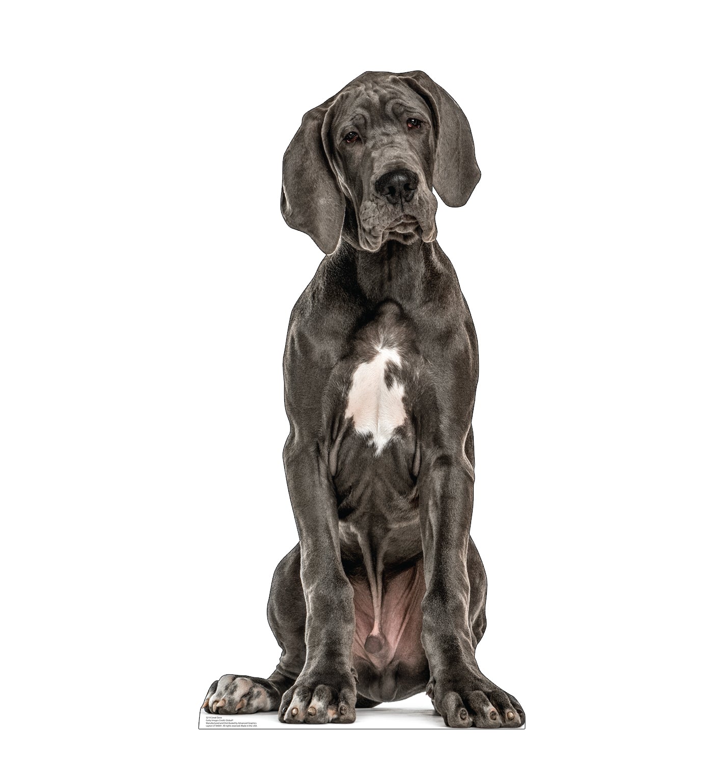 Great Dane Life-Size Cardboard Cutout - All Cutouts