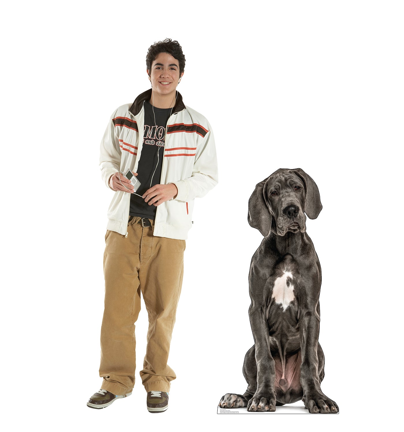 Great Dane Life-Size Cardboard Cutout - All Cutouts