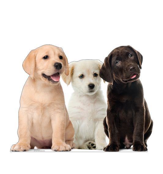 Puppy Group Life-Size Cardboard Cutout - All Cutouts