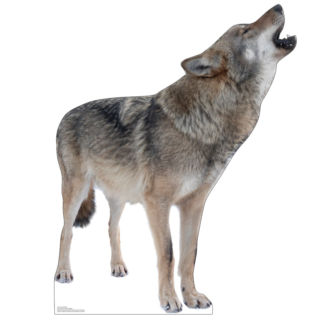 Grey Howling Wolf Life-Size Cardboard Cutout - All Cutouts