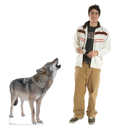 Grey Howling Wolf Life-Size Cardboard Cutout - All Cutouts