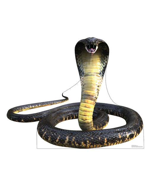 King Cobra Life-Size Cardboard Cutout - All Cutouts