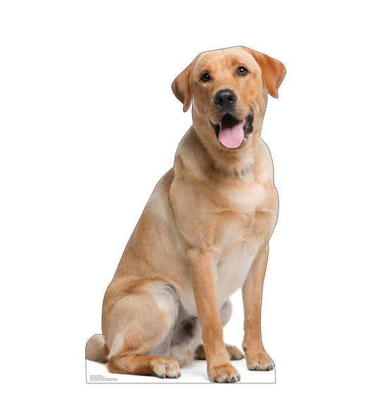 Labrador Retriever Life-Size Cardboard Cutout - All Cutouts