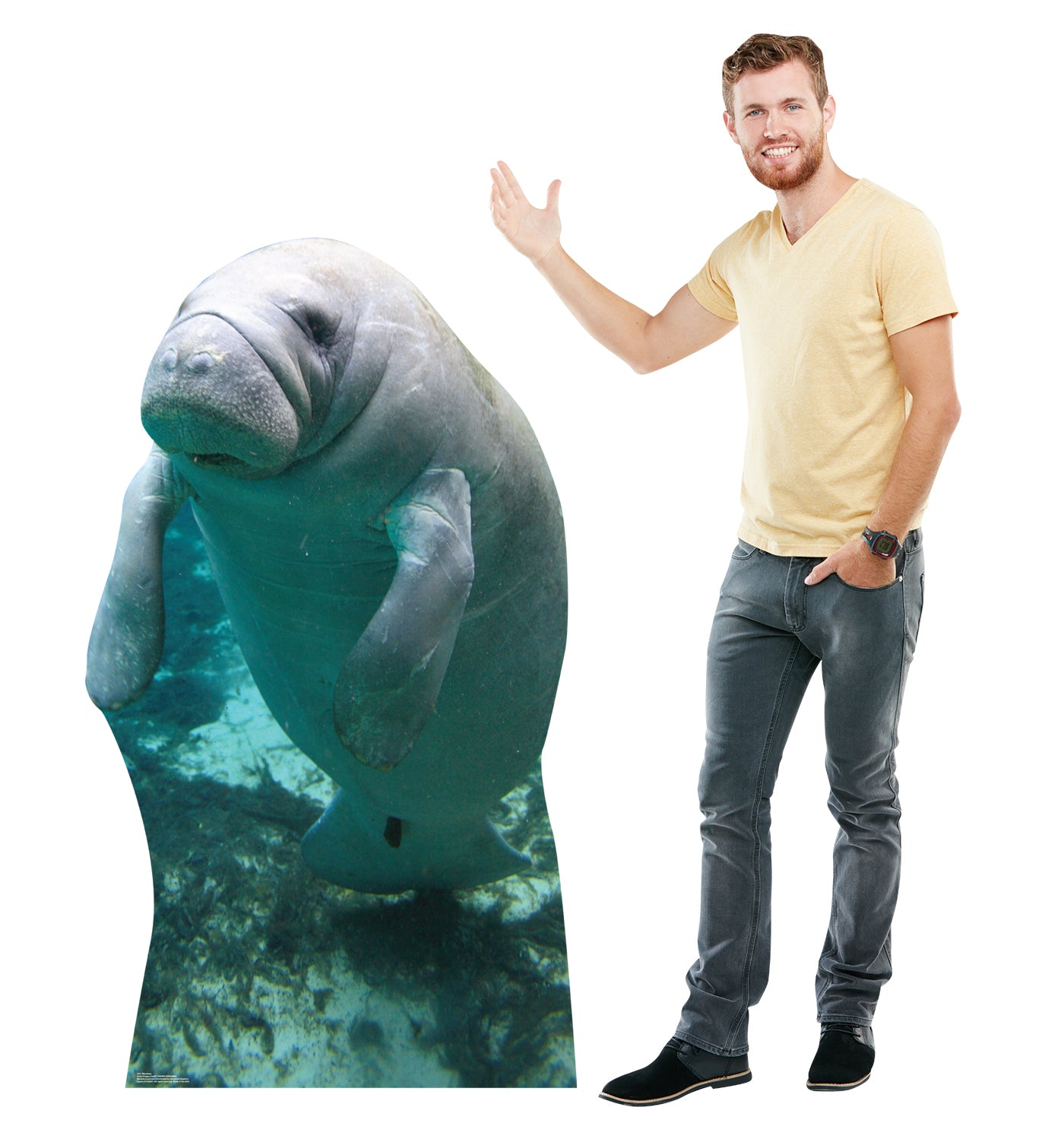 Ben Wyatt Life-Size Cardboard Cutout - All Cutouts