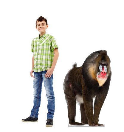 Mandrill Life-Size Cardboard Cutout - All Cutouts
