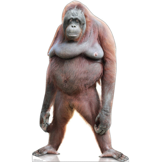 Orangutan Life-Size Cardboard Cutout - All Cutouts