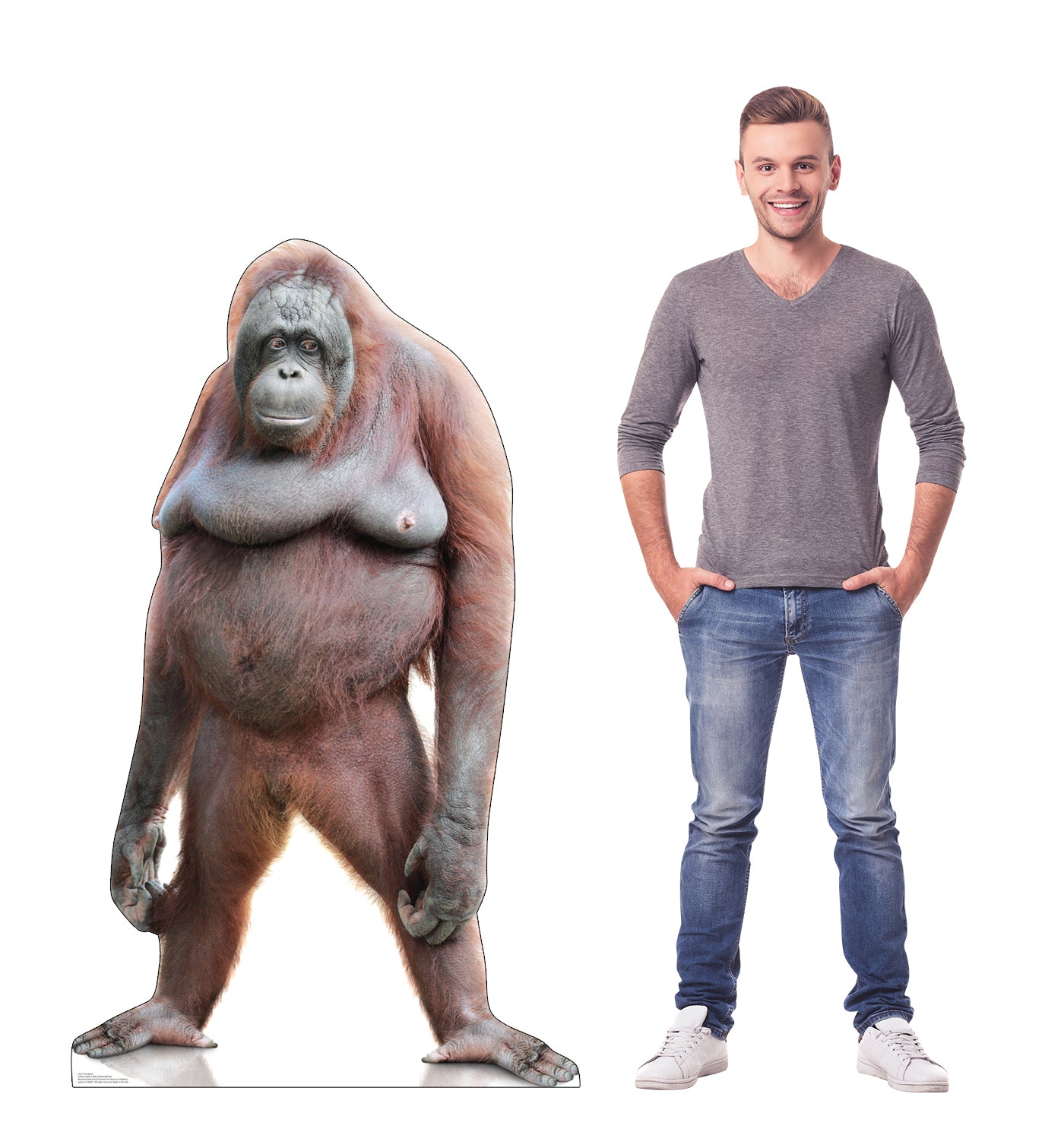 Orangutan Life-Size Cardboard Cutout - All Cutouts