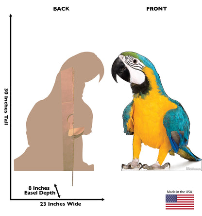 Parrot Life-Size Cardboard Cutout - All Cutouts