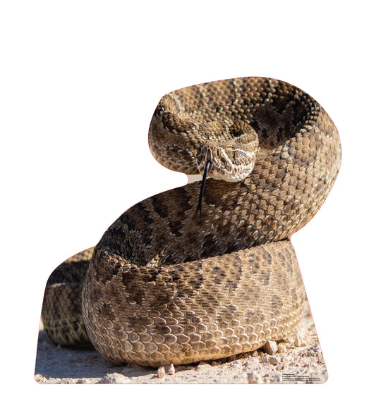 Rattlesnake Life-Size Cardboard Cutout - All Cutouts