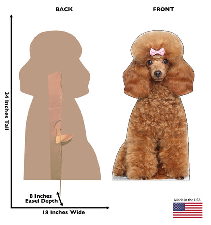 Toy Poodle Life-Size Cardboard Cutout Standee - All Cutouts
