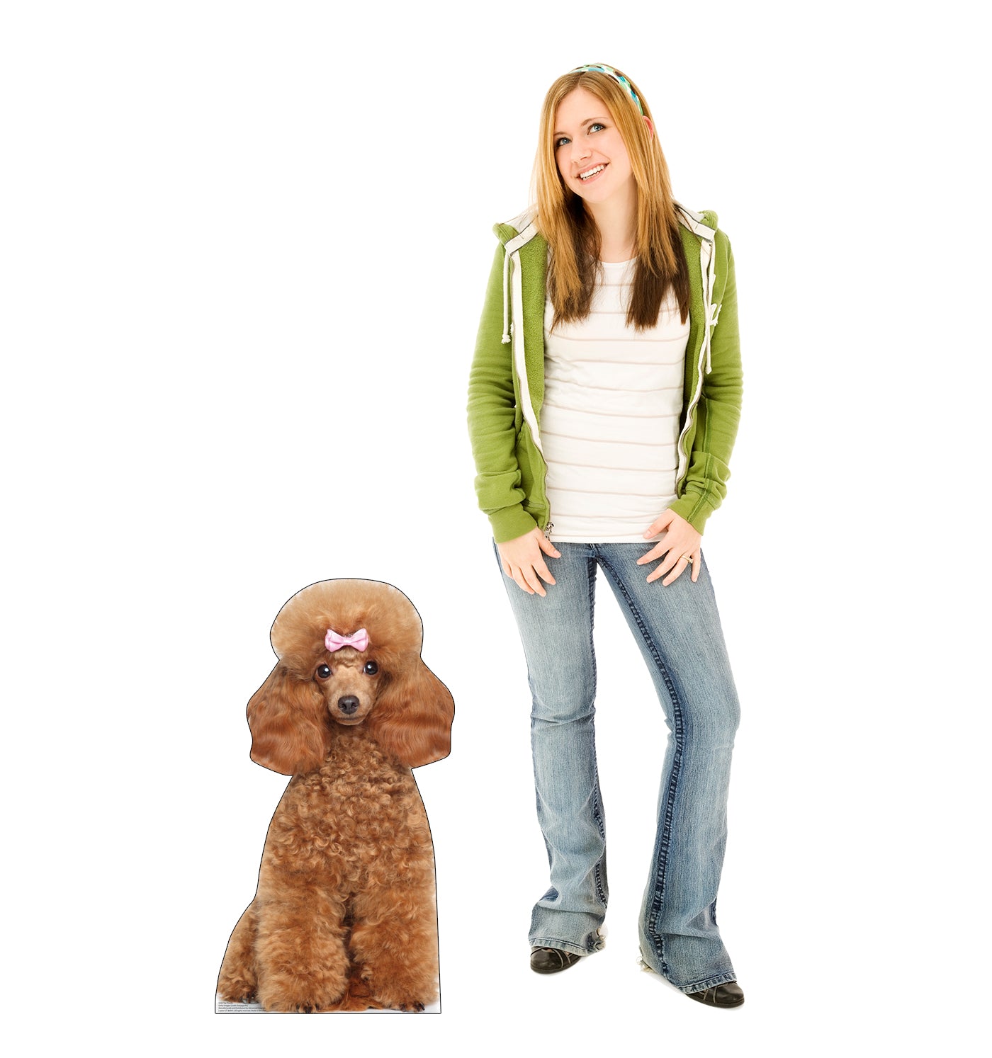 Toy Poodle Life-Size Cardboard Cutout Standee - All Cutouts