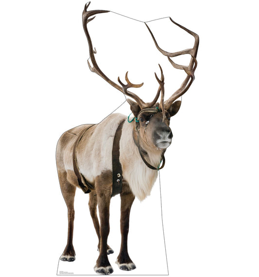 Reindeer Life-Size Cardboard Cutout Standee - All Cutouts