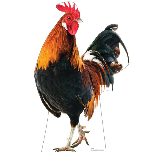 Life-Size Rooster Cardboard Cutout Standee - All Cutouts