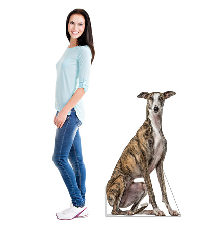 Greyhound Dog Life-Size Cardboard Cutout - All Cutouts