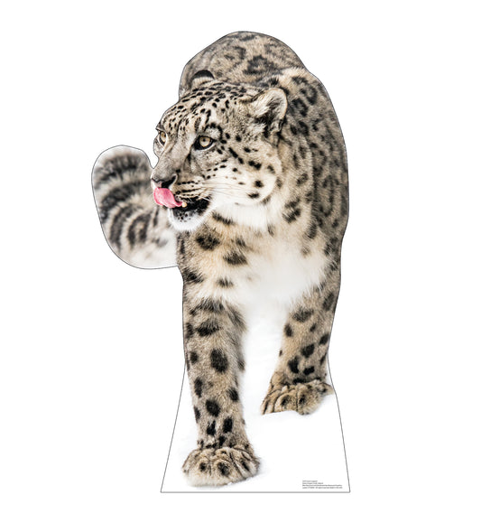 Snow Leopard Life-Size Cardboard Cutout - All Cutouts