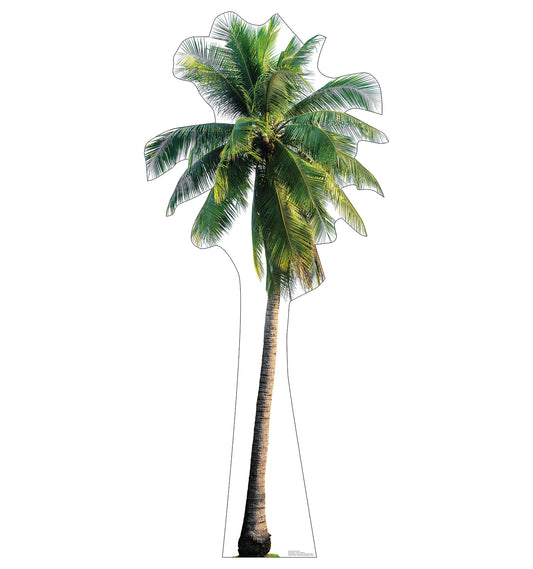 Tropical Palm Tree Life-Size Cardboard Cutout - All Cutouts