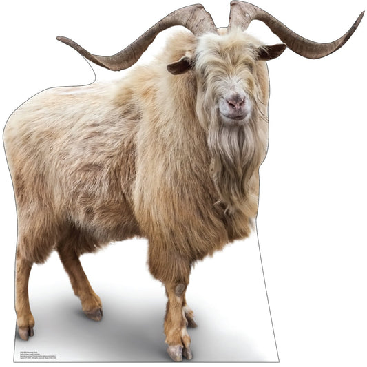 Wild Mountain Goat Life-Size Cardboard Cutout - All Cutouts