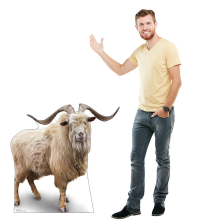 Wild Mountain Goat Life-Size Cardboard Cutout - All Cutouts