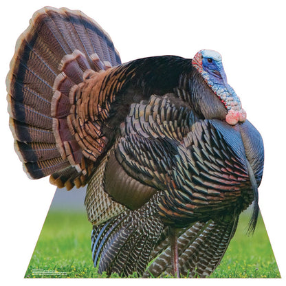 Wild Turkey Life-Size Cardboard Cutout - All Cutouts