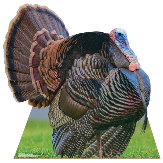 Wild Turkey Life-Size Cardboard Cutout - All Cutouts