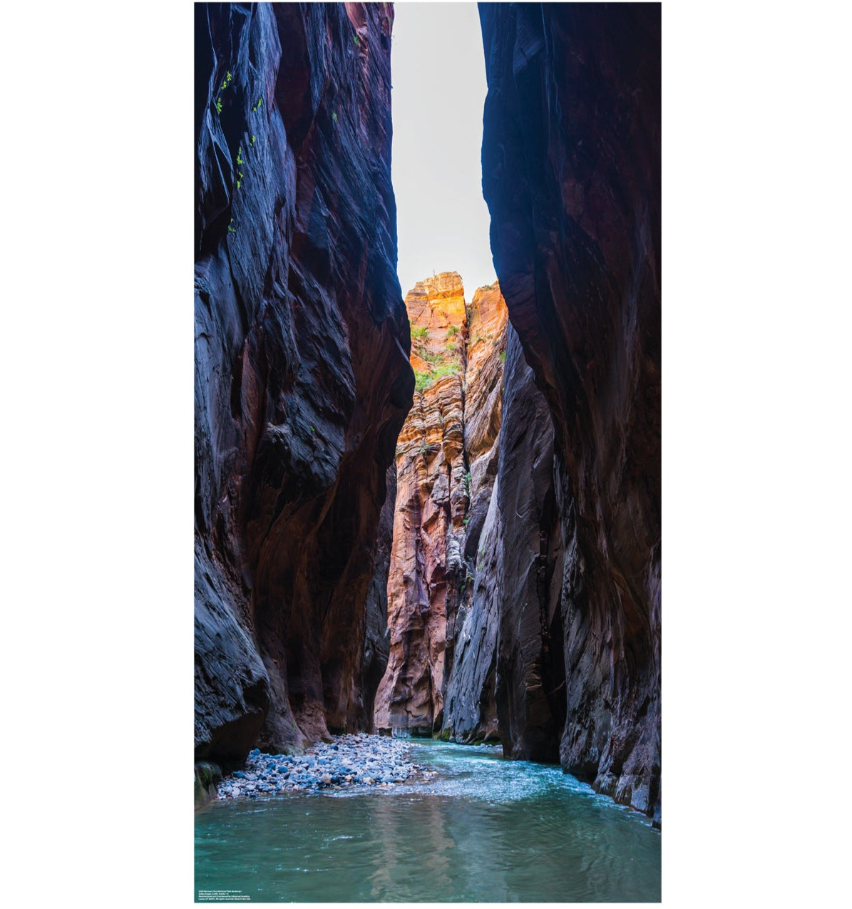 Narrows Zions National Park Backdrop Life-Size Cardboard Cutout - All Cutouts