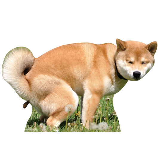 Pooping Dog Life-Size Cardboard Cutout - All Cutouts