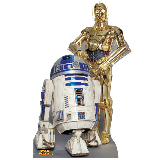 Life-size R2-D2 & C-3P0 Star Wars Cardboard Cutout - All Cutouts