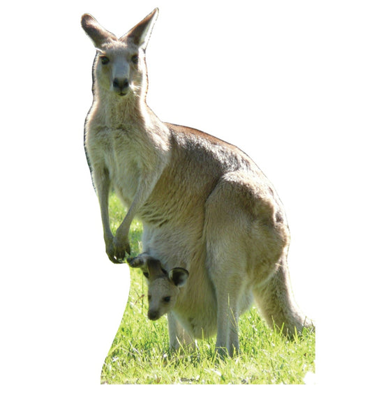 Life-size Kangaroo Cardboard Cutout Standee - All Cutouts