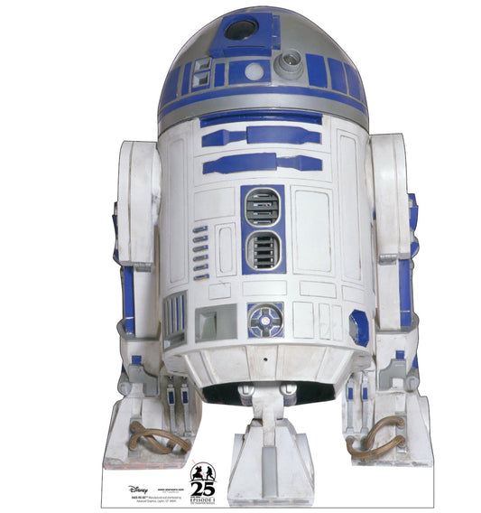 R2-D2™ Life-Size Cardboard Cutout - All Cutouts