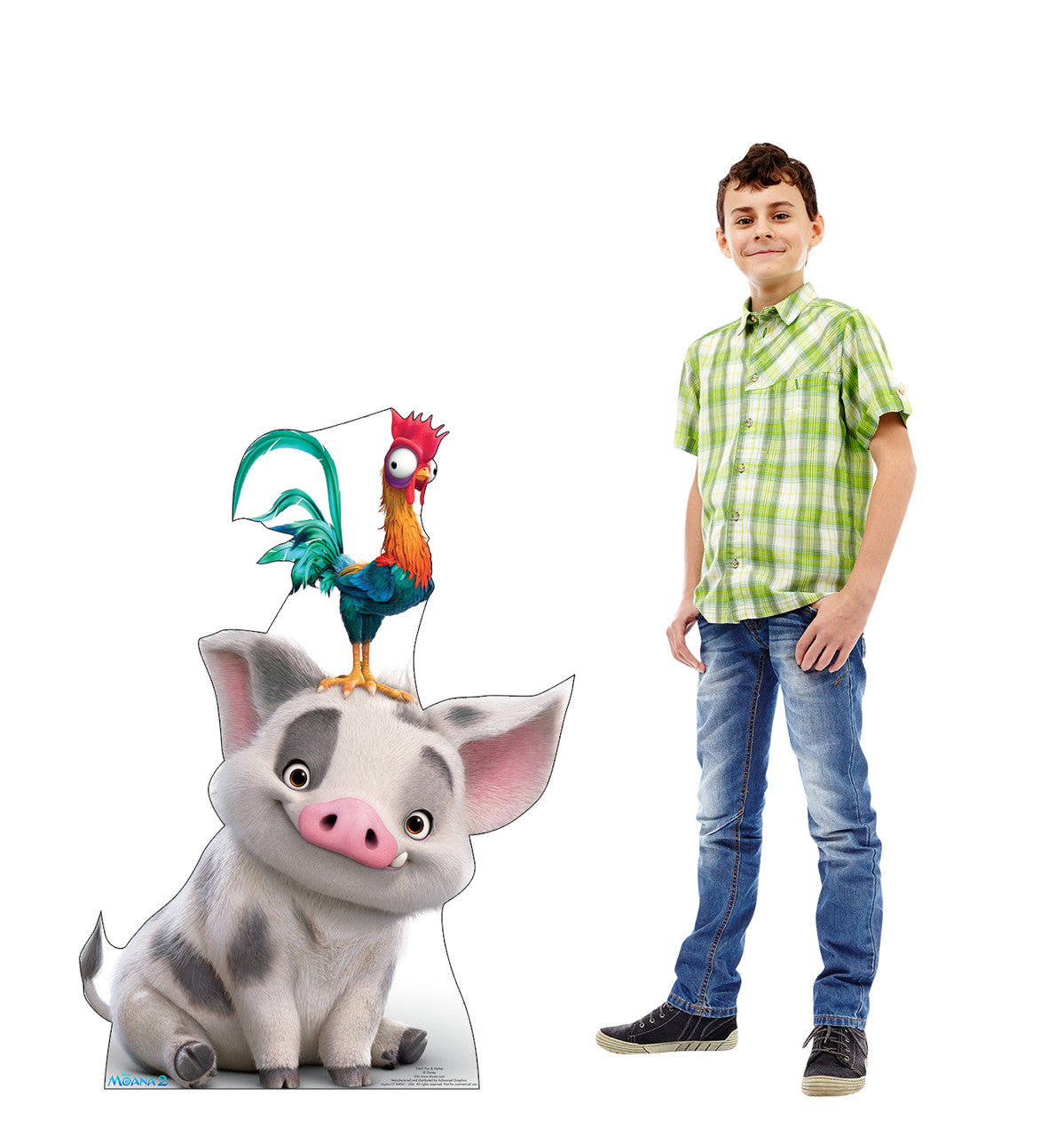 Pua & Heihei Life-Size Cardboard Cutout - All Cutouts