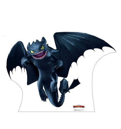 Night Fury Life-Size Cardboard Cutout - All Cutouts