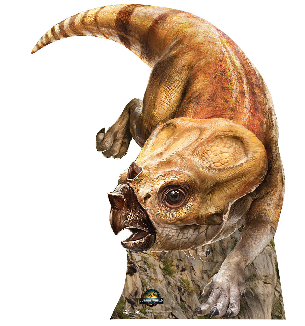 Life-Size Aquilops Cardboard Cutout