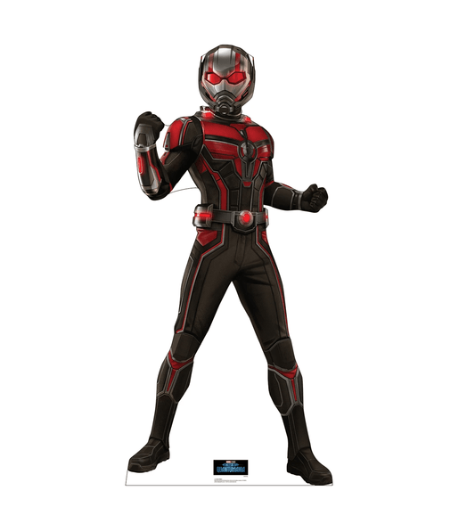 Life-Size Ant-Man (Ant-Man and the Wasp Quantumania) Cardboard Cutout - All Cutouts